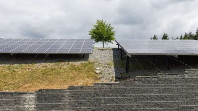 Photo of solar panels