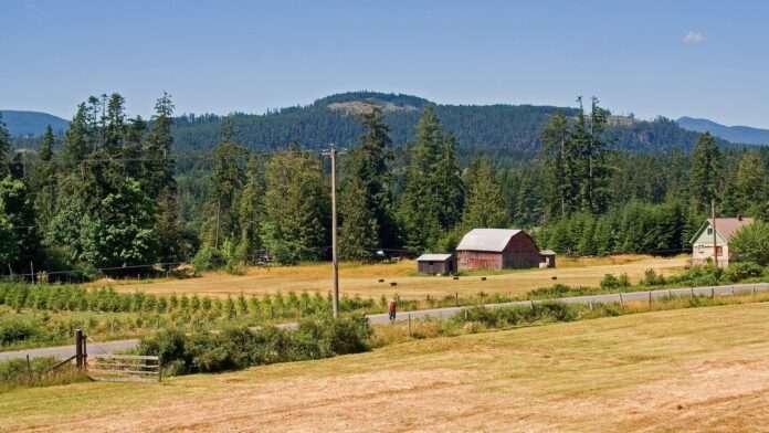 Photo of farm near Ladysmith, B.C.