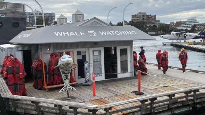 Photo of whale watching company