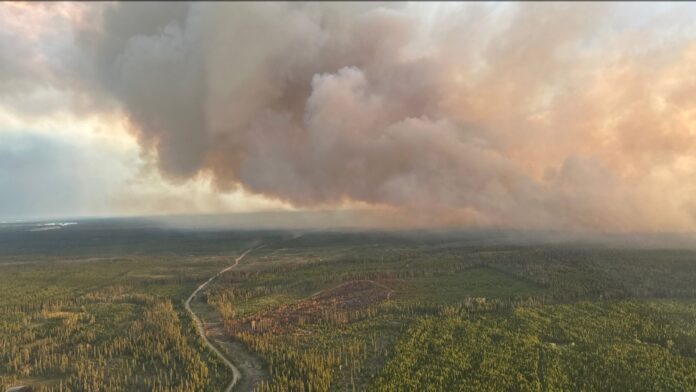 Aerial photo of Beef Trail Creek wildfire