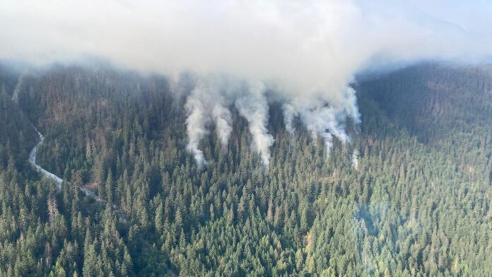 Aerial photo of smoke from Bastion Creek fire
