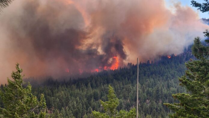 Bald Range fire behaviour on the northwest flank in the afternoon of Aug 10. | BC Wildfire Service Photo