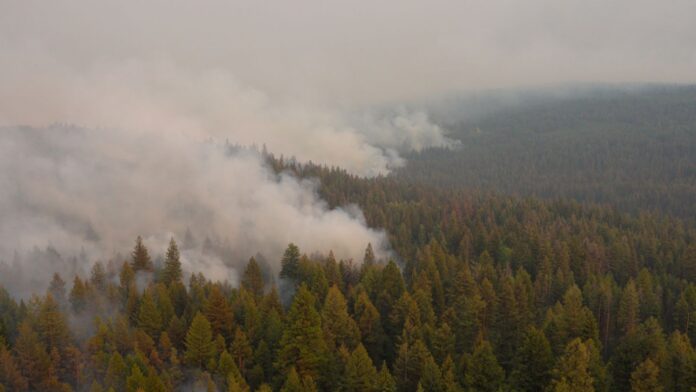Western flank of Bald Range wildfire on Aug 15, 2026. | BC Wildfire Service Photo