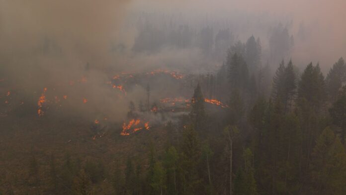 FILE - Bald Range wildfire western flank on Aug. 16. | BC Wildfire Service Photo