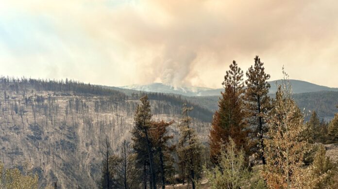 Bald Range wildfire view of west flank from within fire perimeter on Aug 19, 2026. | BC Wildfire Service Photo