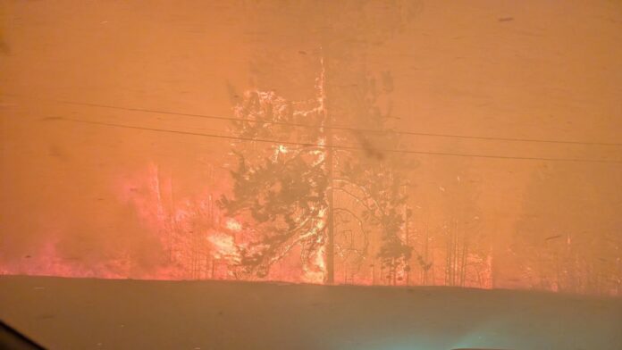 Image from the B.C. Wildfire Service gallery for the Bald Range fire.